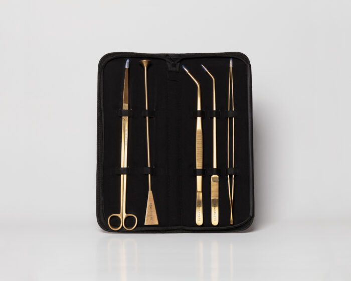 Scaping tools set in gold with leather look case